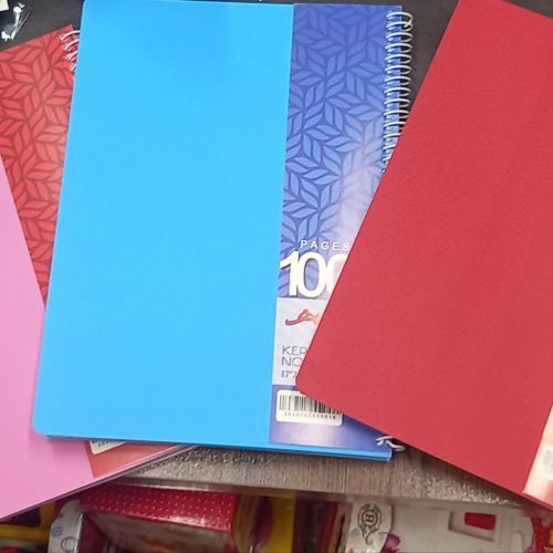 دفتر100برگ کرشمه تک رنگ